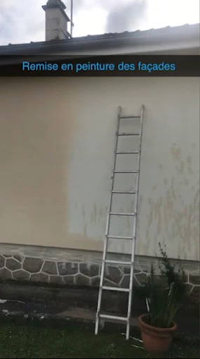 Échelle dressée contre une façade en cours de remise en peinture par Habitat Lamberger